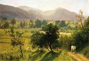 Albert Bierstadt Conway Valley New Hampshire oil painting on canvas